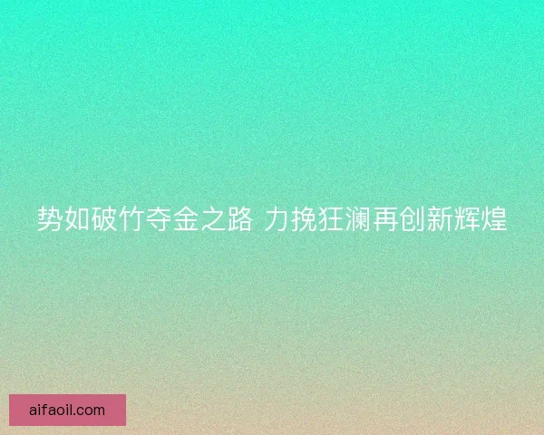 势如破竹夺金之路 力挽狂澜再创新辉煌