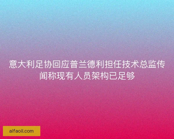 意大利足协回应普兰德利担任技术总监传闻称现有人员架构已足够